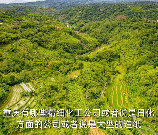 重慶市化工工程用表全套，重慶大學(xué)的化學(xué)工程與工藝怎么樣是不是出來(lái)只有1500一月的工