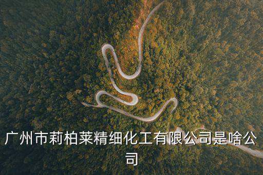 廣州市莉柏萊精細(xì)化工有限公司是啥公司