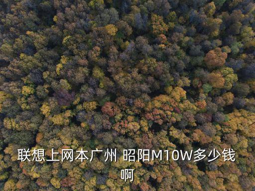 聯(lián)想上網(wǎng)本廣州 昭陽M10W多少錢啊
