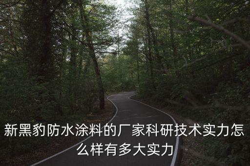 新黑豹防水涂料的廠家科研技術實力怎么樣有多大實力