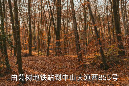 由菊樹(shù)地鐵站到中山大道西855號(hào)