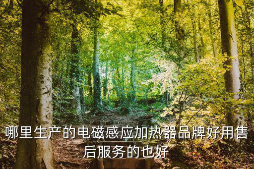 深圳碧源達科技，碧源達是電磁加熱器第一品牌嗎