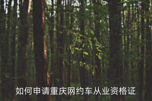 如何申請重慶網(wǎng)約車從業(yè)資格證