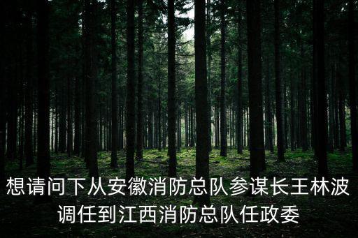 想請(qǐng)問(wèn)下從安徽消防總隊(duì)參謀長(zhǎng)王林波調(diào)任到江西消防總隊(duì)任政委