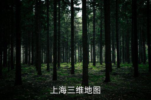 上海市徐涇鎮(zhèn)地圖，上海dd地圖查詢