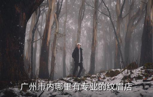 廣州專業修眉，廣州哪里繡眉好價格如何