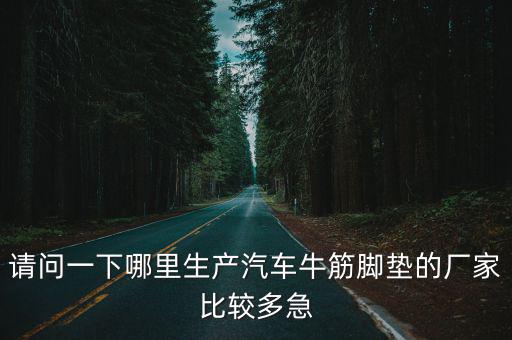 請問一下哪里生產(chǎn)汽車牛筋腳墊的廠家比較多急