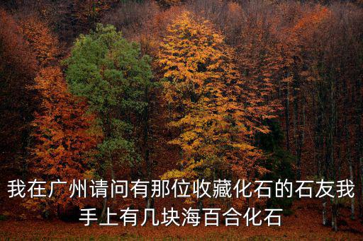 我在廣州請問有那位收藏化石的石友我手上有幾塊海百合化石
