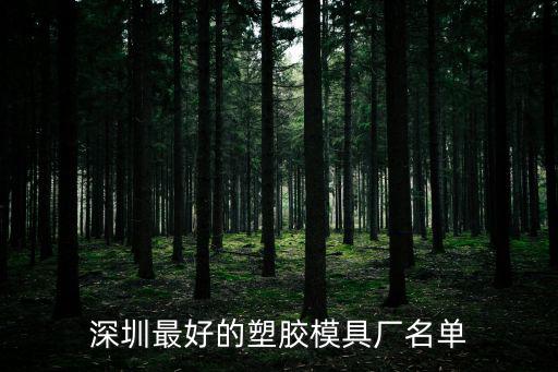 深圳最好的塑膠模具廠名單