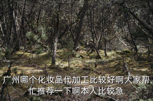 廣州哪個化妝品代加工比較好啊大家幫忙推薦一下啊本人比較急