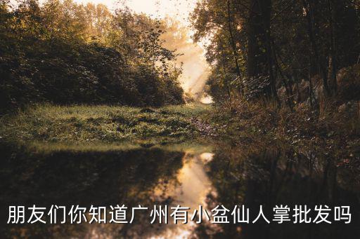 朋友們你知道廣州有小盆仙人掌批發嗎
