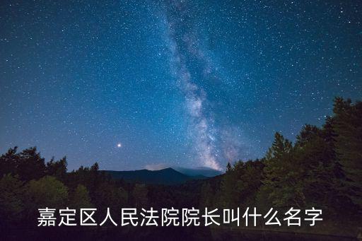 嘉定區人民法院院長叫什么名字