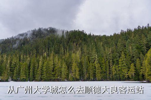 從廣州大學城搭輕軌到順德輕軌站，從廣州搭城軌可以去到順德大良嗎
