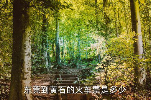 東莞到黃石的火車票是多少