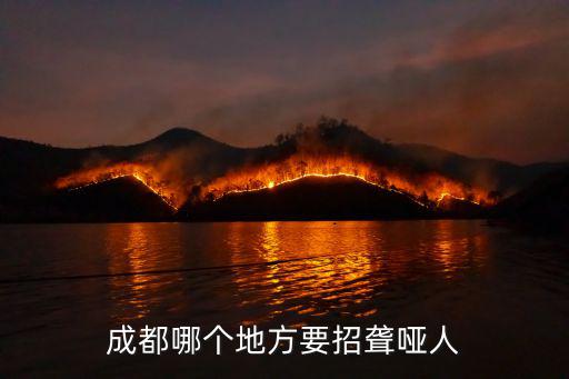 成都哪個地方要招聾啞人