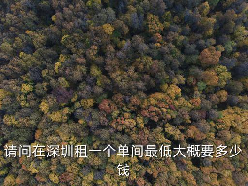 請問在深圳租一個單間最低大概要多少錢