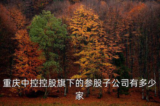 重慶中控控股旗下的參股子公司有多少家