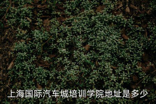 上海國際汽車城培訓學院地址是多少