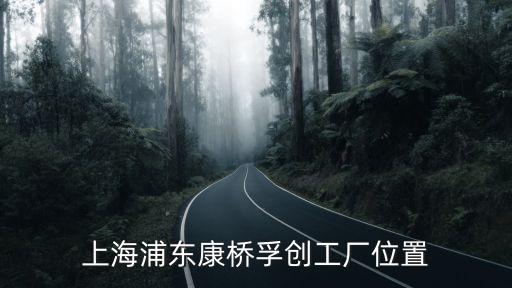 上海市浦東新區康橋鎮康安路818號，上海浦東新區康橋鎮計生辦的地址