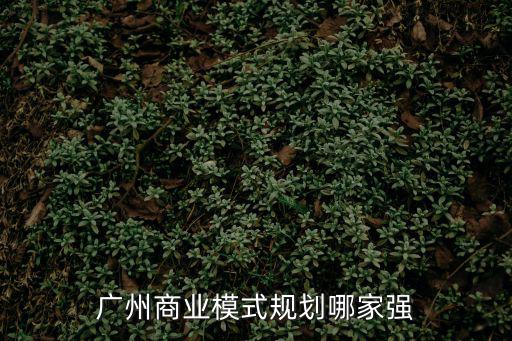 廣州商業模式規劃哪家強