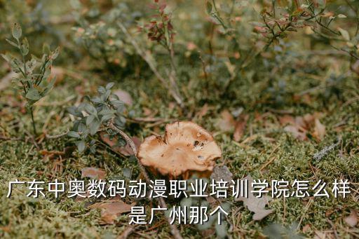 廣東中奧數碼動漫職業培訓學院怎么樣是廣州那個