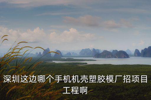 深圳這邊哪個手機機殼塑膠模廠招項目工程啊