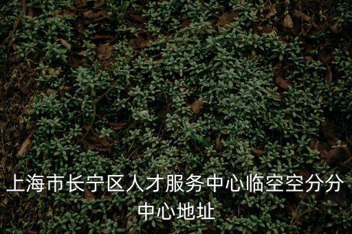 上海市長寧區人才服務中心官網，上海市長寧區人才服務中心臨空空分分中心地址