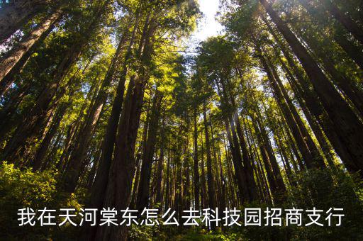 我在天河棠東怎么去科技園招商支行