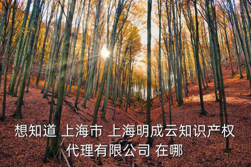 想知道 上海市 上海明成云知識產權代理有限公司 在哪