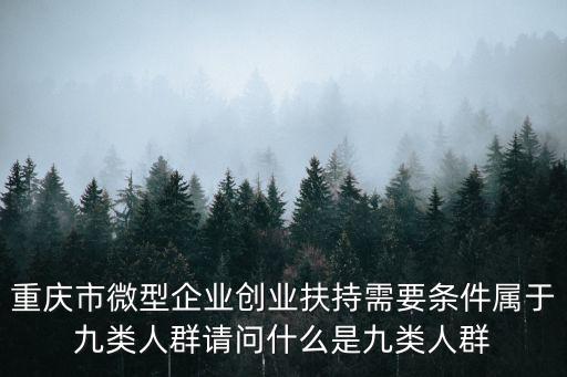 重慶市微型企業創業扶持需要條件屬于九類人群請問什么是九類人群