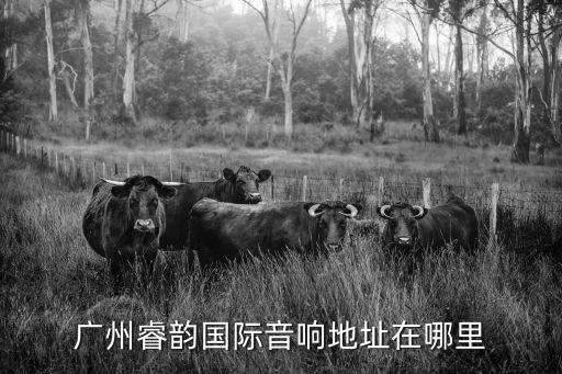 廣州睿韻國際音響地址在哪里