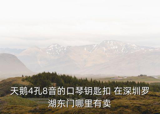 深圳鑰匙扣，深圳那有買水晶球鞋鑰匙扣啊
