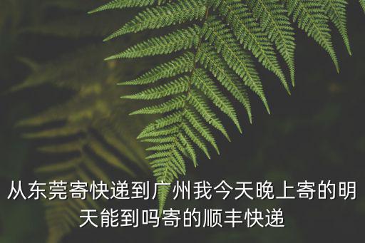 從東莞寄快遞到廣州我今天晚上寄的明天能到嗎寄的順豐快遞