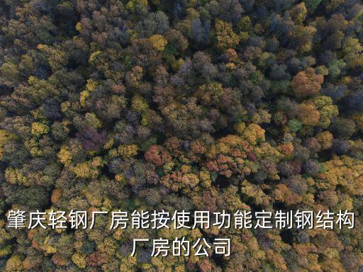肇慶輕鋼廠房能按使用功能定制鋼結構廠房的公司