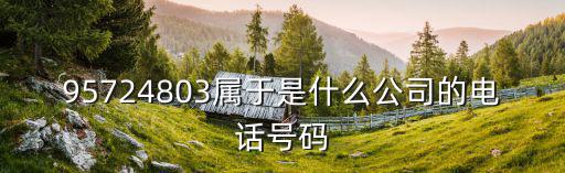 95724803屬于是什么公司的電話號(hào)碼