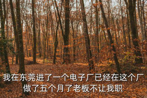 我在東莞進了一個電子廠已經在這個廠做了五個月了老板不讓我職