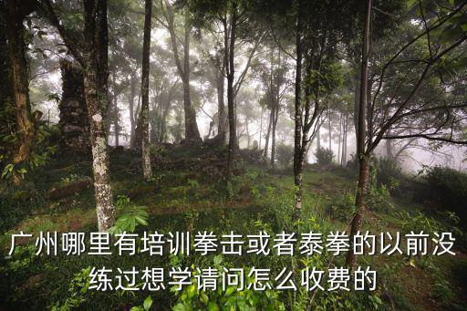 廣州哪里有培訓拳擊或者泰拳的以前沒練過想學請問怎么收費的