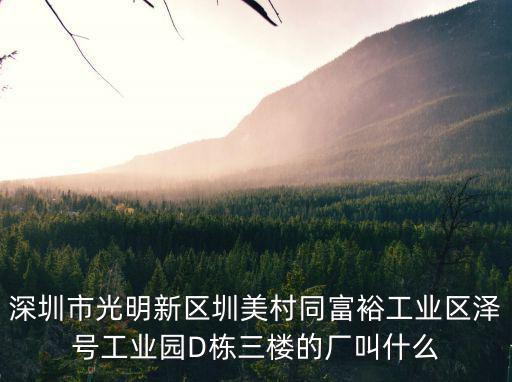 深圳市光明新區(qū)圳美村同富裕工業(yè)區(qū)澤號工業(yè)園D棟三樓的廠叫什么
