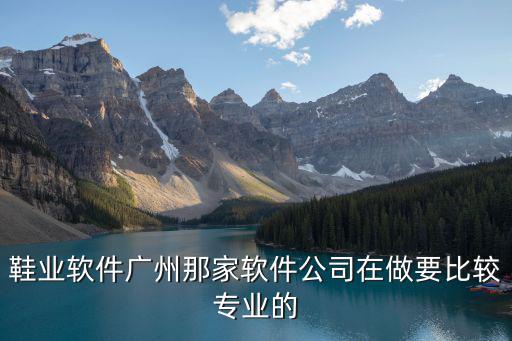 鞋業(yè)軟件廣州那家軟件公司在做要比較專業(yè)的