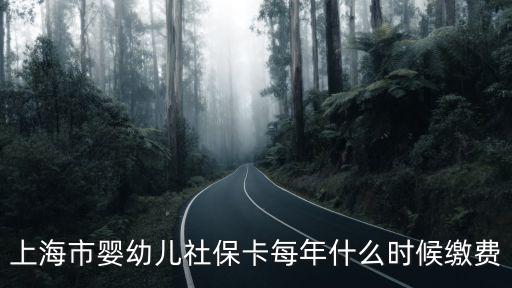 上海市嬰幼兒社保卡每年什么時候繳費