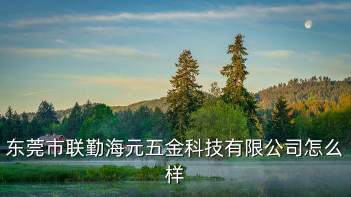 東莞市聯勤海元五金科技有限公司怎么樣
