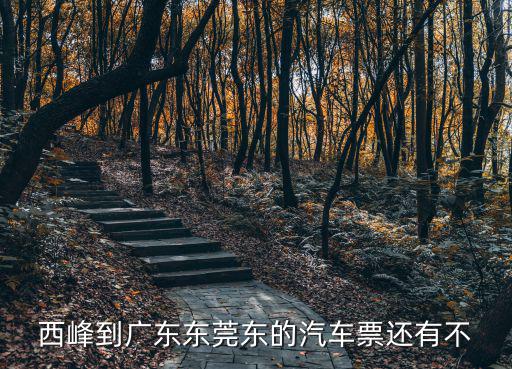 西峰到廣東東莞東的汽車票還有不
