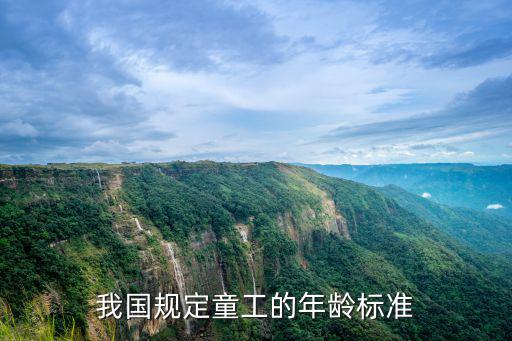 重慶市童工的法定年齡，我國規(guī)定童工的年齡標準