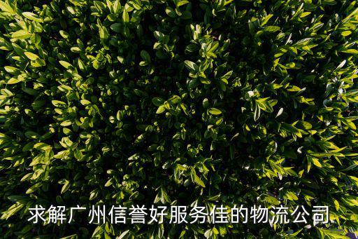 求解廣州信譽(yù)好服務(wù)佳的物流公司