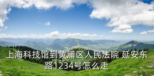 上海科技館到黃浦區人民法院 延安東路1234號怎么走