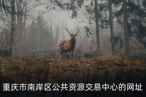 重慶市南岸區公共資源交易中心的網址