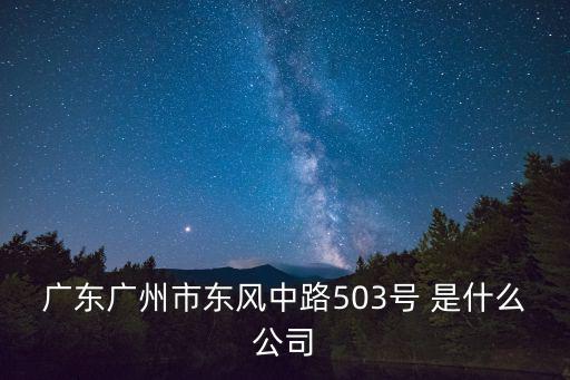 廣東廣州市東風(fēng)中路503號 是什么公司