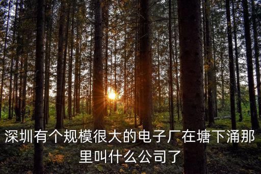 深圳有個規模很大的電子廠在塘下涌那里叫什么公司了