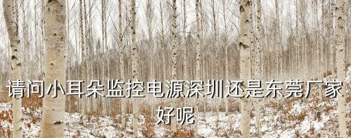 請問小耳朵監控電源深圳還是東莞廠家好呢