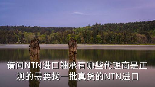 廣州市邢海機電軸承有限公司，問地址問公司廣州市白云區(qū)鐘落潭鎮(zhèn)廣從八路松嶺105106號  搜